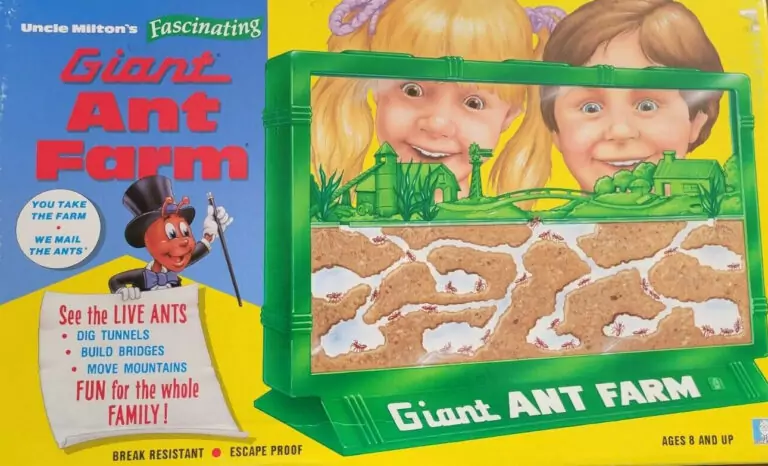 Ant farms, Ant-Men, and chewy chocolate critters