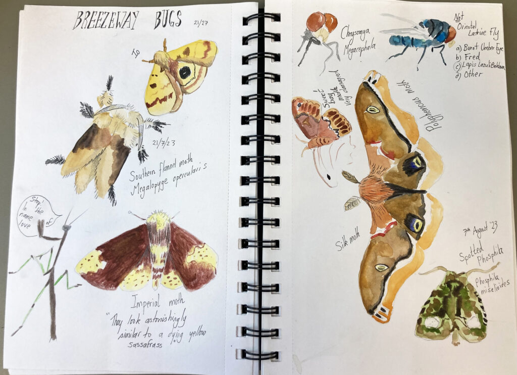 Workshop to explore Nature Journaling