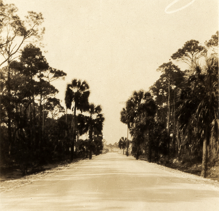 Chasing Shadows: The Forgotten Coast, birthplace of Florida