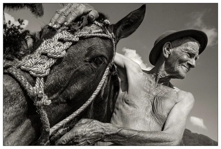 The Cubans: People of a paused land