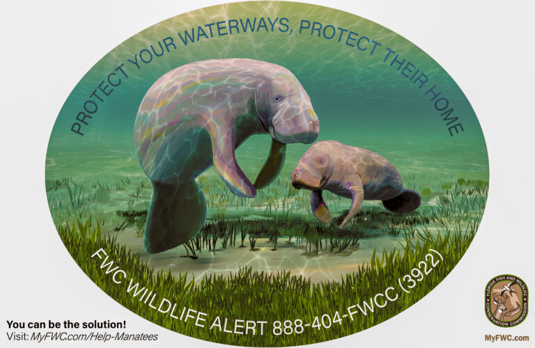 New FWC decals help protect manatees, sea turtles