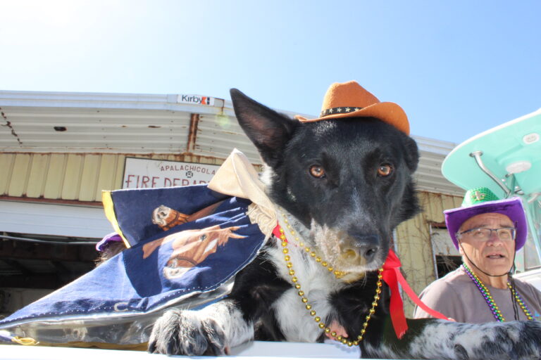 Apalachicola readies for ‘Game of Bones’