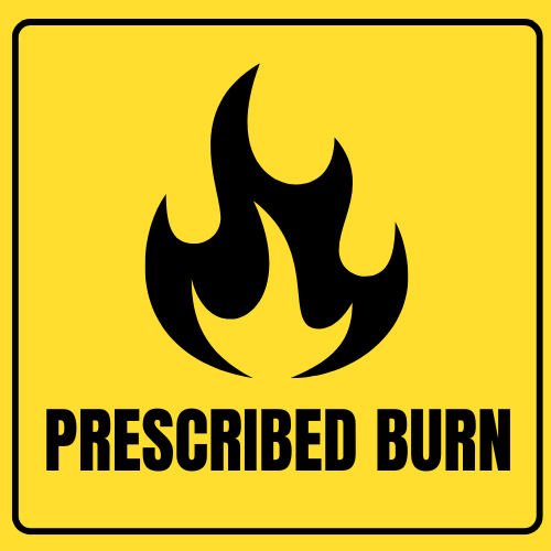 Prescribed burn today in Apalachicola WEA