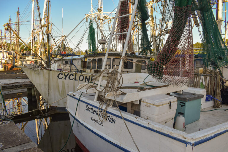 How tariffs might affect domestic shrimp